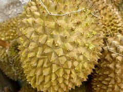 -开皇马来西亚榴莲美食店(华强北店)