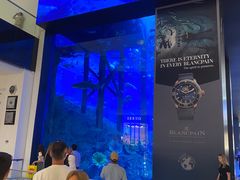 -迪拜水族馆及水下动物园