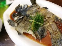 清蒸龙胆鱼-旺达·福州菜(正大广场店)