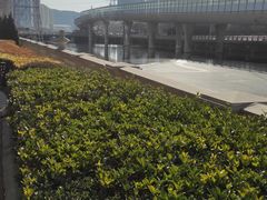 -马栏河运动公园