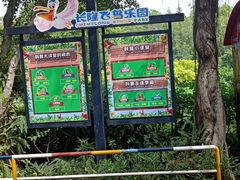 -广州长隆飞鸟乐园