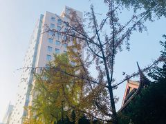 -四川大学华西口腔医院(华西院区)