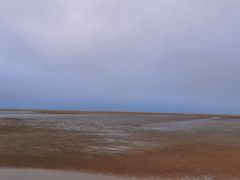 -刘家湾赶海园