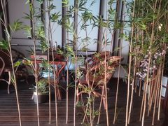 -盤古Spa泰式古法抓龙筋(鲁迅路店)