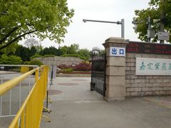 -嘉定紫藤园