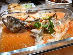 -佬肥猫(国华广场店)