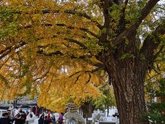 -北京石刻艺术博物馆(五塔寺)