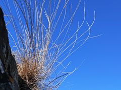 -蟠龙山长城景区