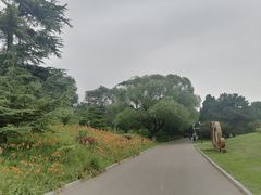 -莲花池公园