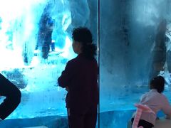 -帝企鹅自助餐厅•儿童岛•真企鹅(长隆企鹅酒店)