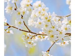 -国际非物质文化遗产博览园