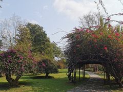 -中国科学院西双版纳热带植物园