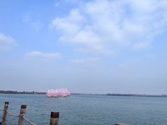 -溱湖国家湿地公园