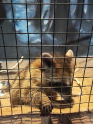 点击看大图 -酷嗒动物文化乐园(cutezoo西溪乐天城店)