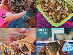 -亚龙湾热带天堂森林公园