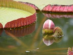 -国家植物园(地铁站)