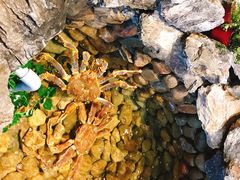 -綱元·海鲜豆捞(明州里店)