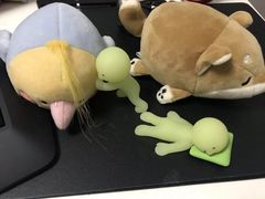 -九木杂物社(大族广场店)