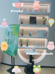 -skin79皮肤管理中心