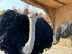 -泗洪洪泽湖湿地景区