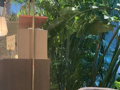 -大头椰·椰子鸡火锅(南宁万象城店)