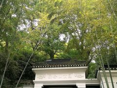 -上海佘山国家森林公园西佘山园