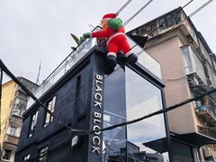 -溪岸路花鸟市场