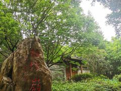 -深圳国际园林花卉博览园