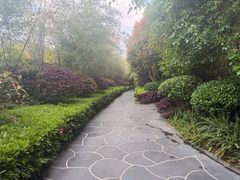 -腾冲洞山温泉村