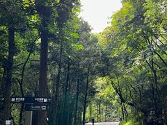 -广州市白云山风景名胜区