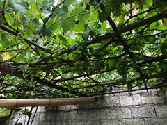 -柞水乾佑红门家菜