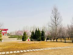 -大望京公园