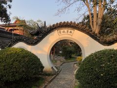 -内乡县衙博物馆