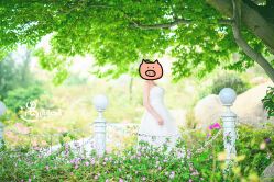 -金夫人婚纱摄影(华南店)