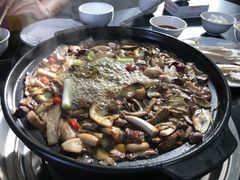 -江川野生菌火锅铜锅鱼(贵清火锅店)