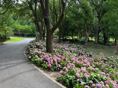 -上海滨江森林公园