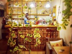 iphone_upload_pic-海惠年代咖啡