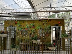 -桉树林A coffee 森林餐厅(三圣乡店)