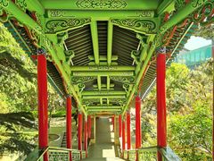 -白塔山公园