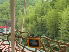 -将军关探险漂流