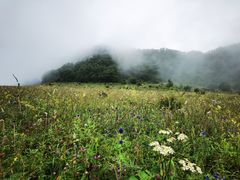 -白草畔自然风景区
