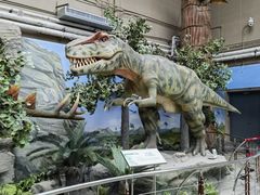 -国家自然博物馆