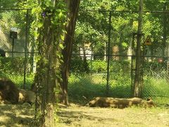 -秦皇岛野生动物园