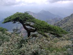 -三清山风景名胜区