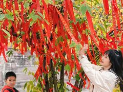 -金堂县云顶石城风景区