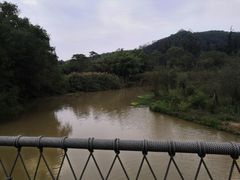 -南宁良凤江国家森林公园