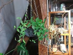 -良友书坊(安徽路店)