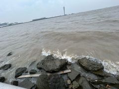 -吴淞炮台湾湿地森林公园烧烤区