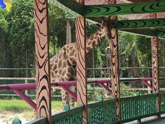 -贵州森林野生动物园