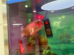 -雅悦齿科(顾村公园店)